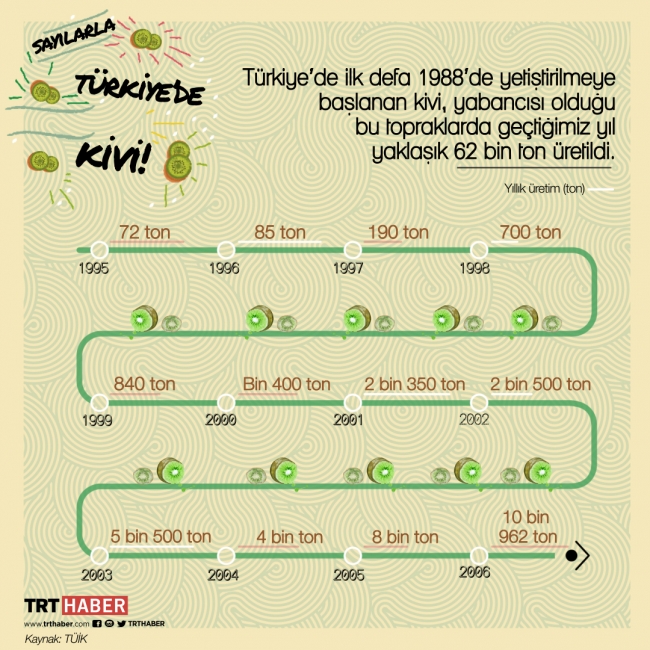 Türkiye’de 2018’de yaklaşık 62 bin ton kivi üretildi